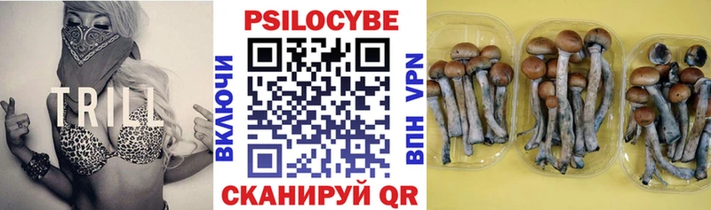 KRAKEN сайт  купить наркотик  Тайга  Псилоцибиновые грибы ЛСД 